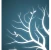 lumion